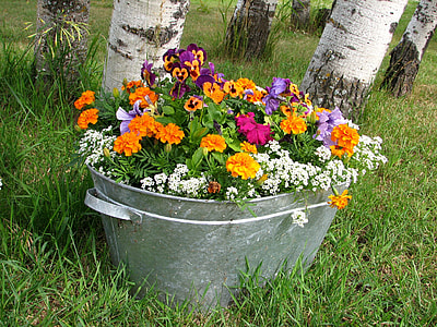 beverage tub filled with assorted-color flowers thumbnail