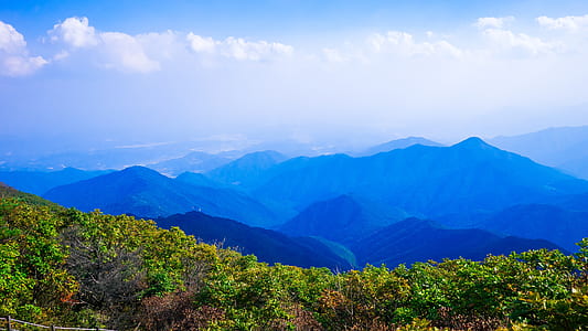 green plants overlooking mountains during daytime thumbnail