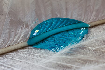 close photo of white feather thumbnail