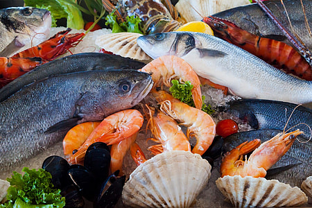 macro shot photography of assorted seafoods thumbnail