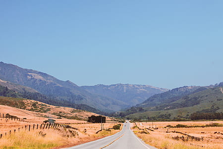 empty road in between withered grass field during daytime thumbnail