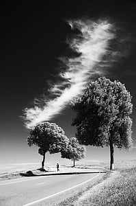 grayscale photo of person standing on road in between trees with cloud formation on top thumbnail