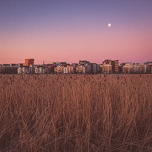 landscape photography of high rise building thumbnail