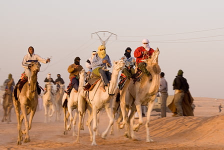 group of people riding horses thumbnail