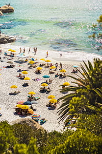 People Sunbathing and Swimming on Seashore thumbnail