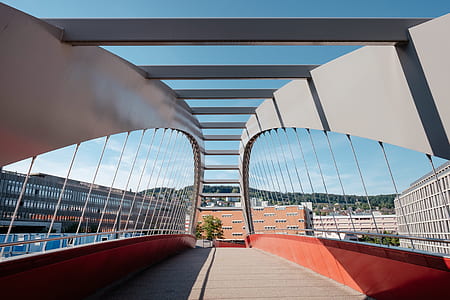 plants on bridge near buildings thumbnail