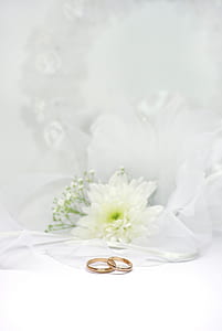 two gold-colored rings thumbnail