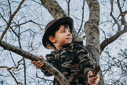 boy on top of tree thumbnail