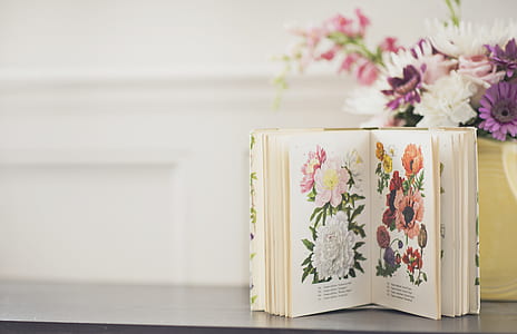 brown floral book page thumbnail