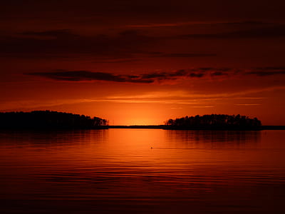 silhouette photography of calm water and trees at golden hour thumbnail