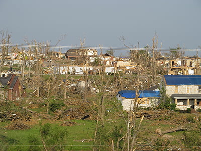bare trees near houses during daytime thumbnail