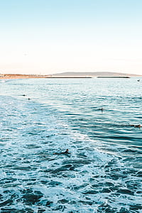person in black wet suit surfing using board thumbnail