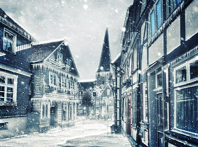 black houses illustration thumbnail