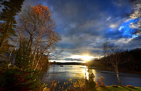 calm body of water surrounded with tall trees thumbnail