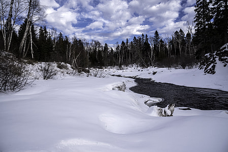 Winter Scenic with trees with snow and ice in Temperance River State Park, Minnesota thumbnail