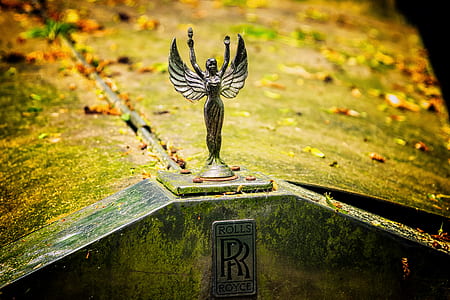 classic Rolls Royce vehicle covered with moss thumbnail