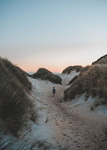 person walking between grass under gray sky thumbnail