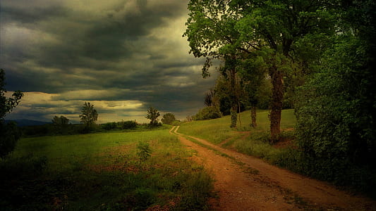 landscape photo of pathway with green grass under white clouds thumbnail