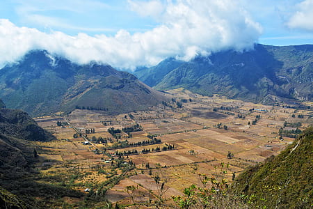landscape photography of rice field thumbnail