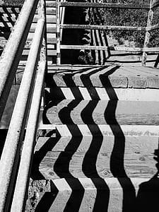 grayscale photography of stairs thumbnail