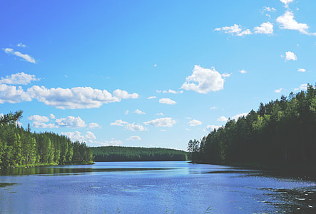 green trees near body of water thumbnail