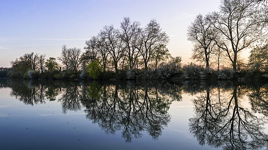 trees reflecting on the lake thumbnail