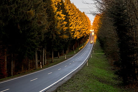 gray asphalt road between trees thumbnail