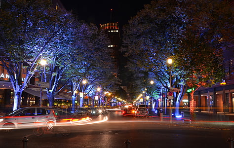 time-lapse photography of vehicle passing by trees thumbnail