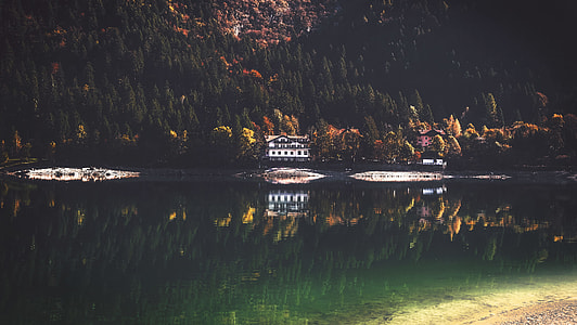body of water surrounding trees thumbnail