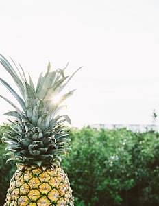 closeup photo of pineapple fruit thumbnail