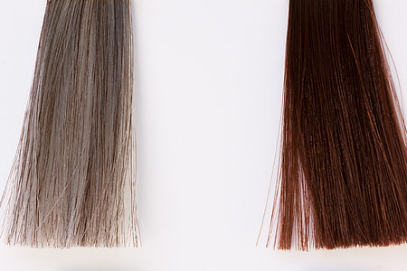 two gray and black hairs thumbnail