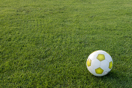 white soccer ball on grass field thumbnail