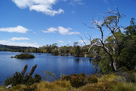 Lake, Cradle Mountain National Park thumbnail