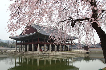 gray and gray gazebo at pond thumbnail