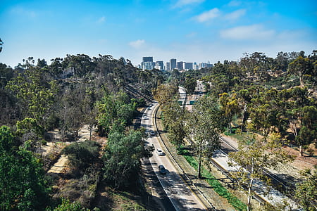 cars at the road between trees thumbnail