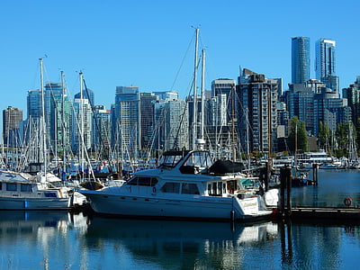 docked yachts near high-rise buildings thumbnail