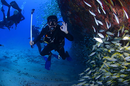 man wearing diving gear surrounded fish thumbnail
