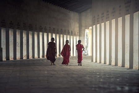 three Buddist monks walking beside each other thumbnail
