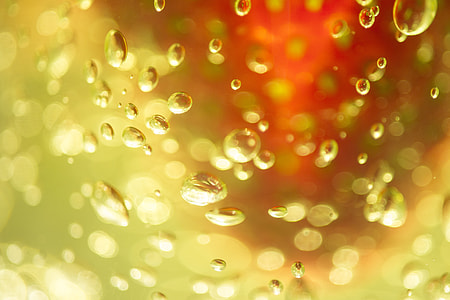 Abstract, Drop, Pattern, Detail, abstract pattern, beautiful thumbnail