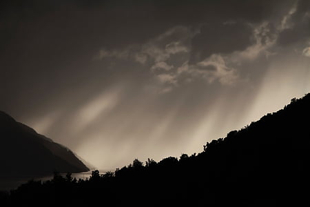 silhouette of trees unde gray sky thumbnail