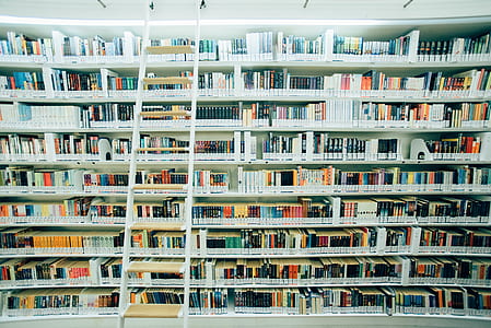 assorted books on white book shelf thumbnail