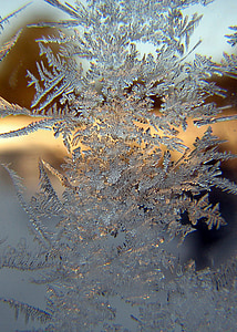 close-up photo of snowflake thumbnail