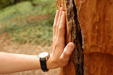 hand, hiker, hiking, resting thumbnail