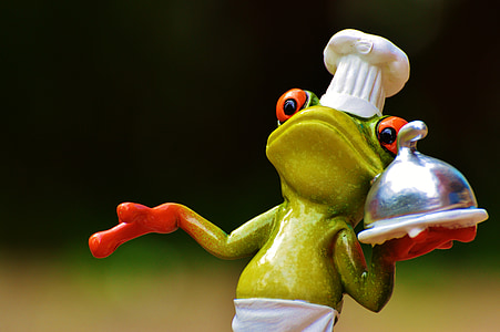 selective focus photography of chef red-eye frog thumbnail