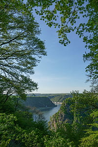 green leafed trees near river during daytime thumbnail
