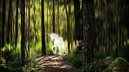 unicorn on forest during daytime thumbnail