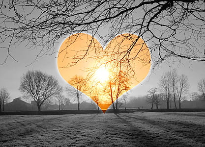 gray scale photo of sunset with heart shape thumbnail