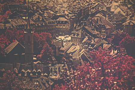 top view of village surround red trees thumbnail