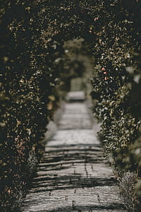 selective photography of green arch thumbnail