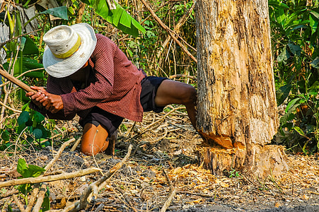 man holding axe beside tree thumbnail